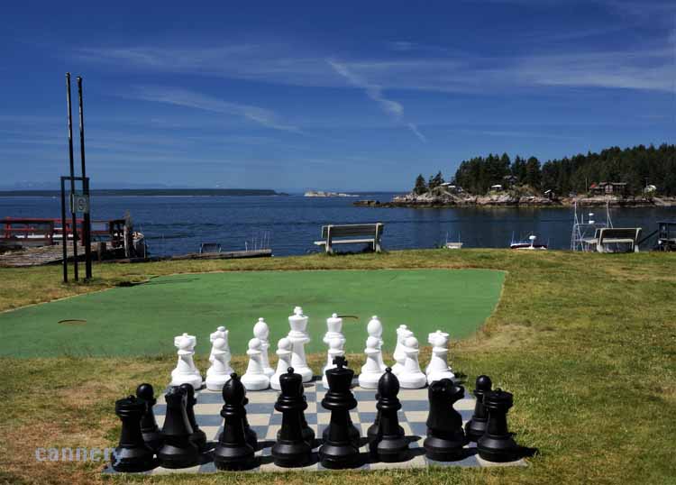 giant chessboard